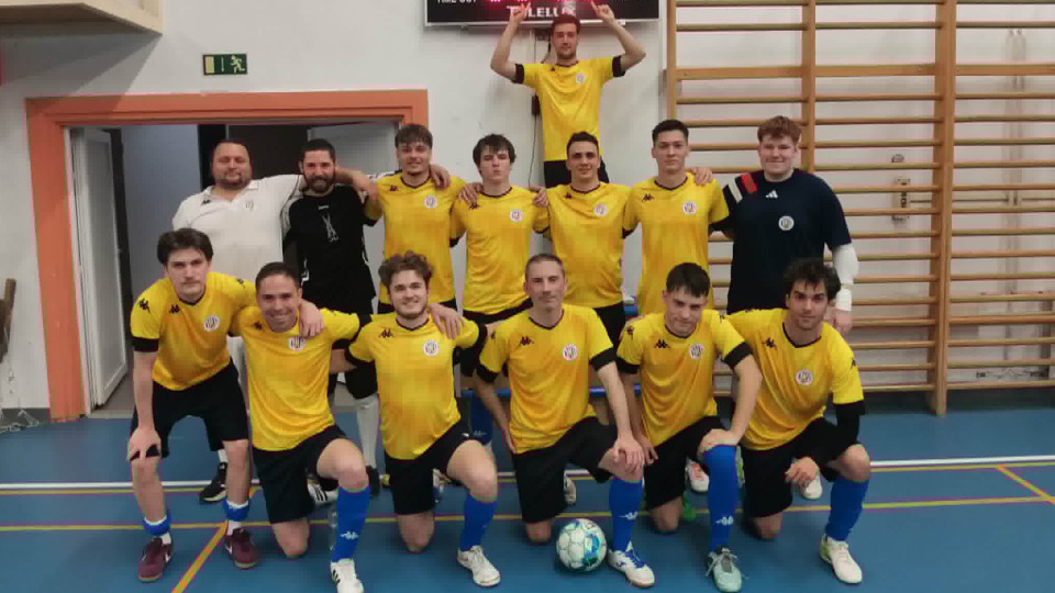 A Tihany és az Asterix is nyert az alsóházban