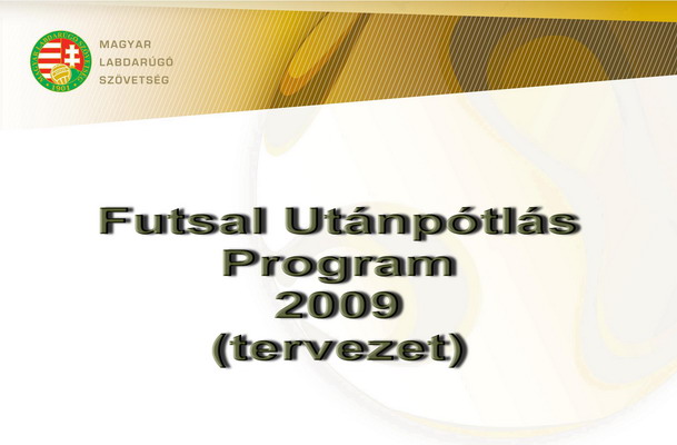 Futsal Utánpótlás Program 2009. (tervezet)