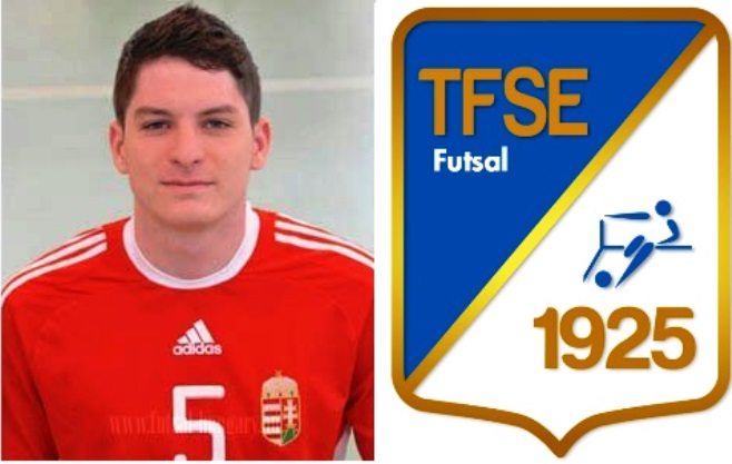 Simon Ádám a TFSE Futsalban folytatja!