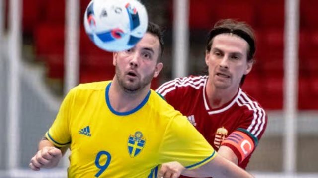 Visszavágtak a svédek a második mérkőzésen
