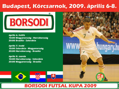 Borsodi Futsal Kupa