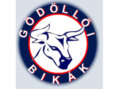 Gödöllő: a fiataloké a jövő