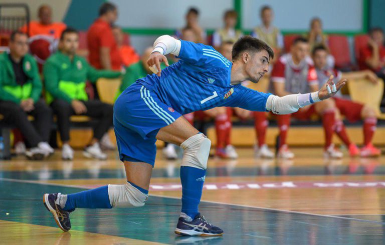 Csehország – Magyarország 2-2, Fotógaléria