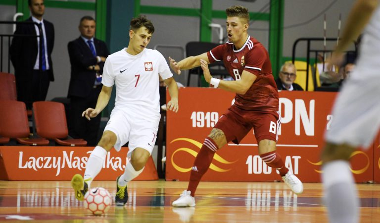 Lengyelország – Magyarország 4-1, FOTÓGALÉRIA