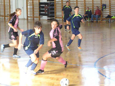 Tolna - Vadmacskák Tolna - Vadmacskák
