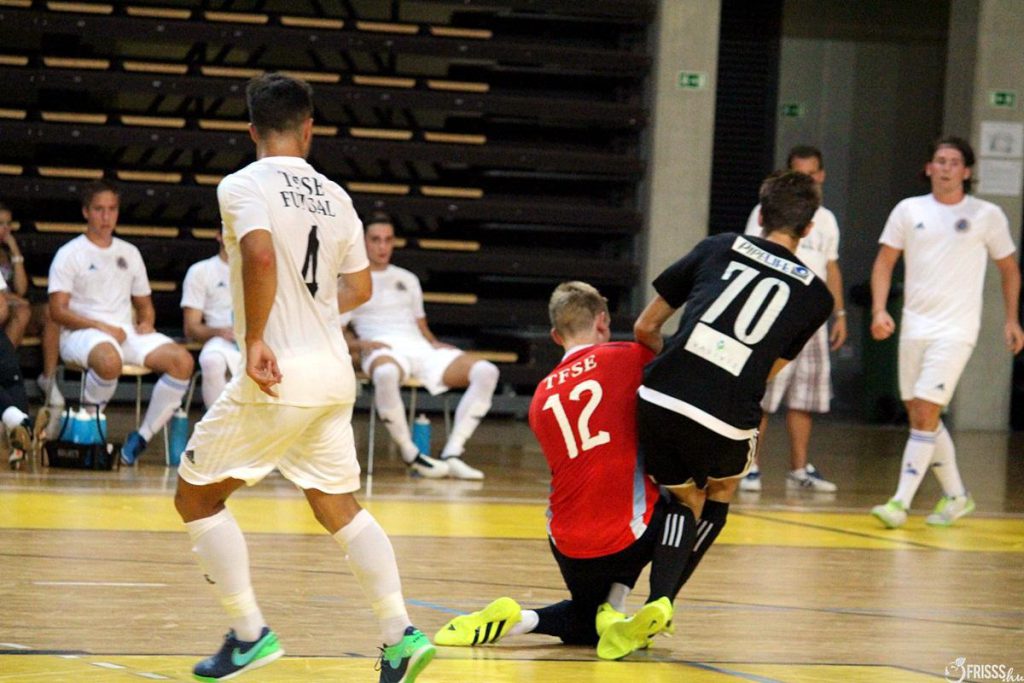Swietelsky-Haladás – TFSE 6-3