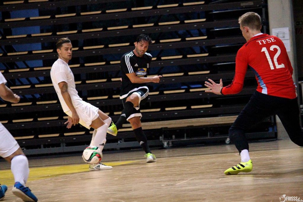 Swietelsky-Haladás – TFSE 6-3