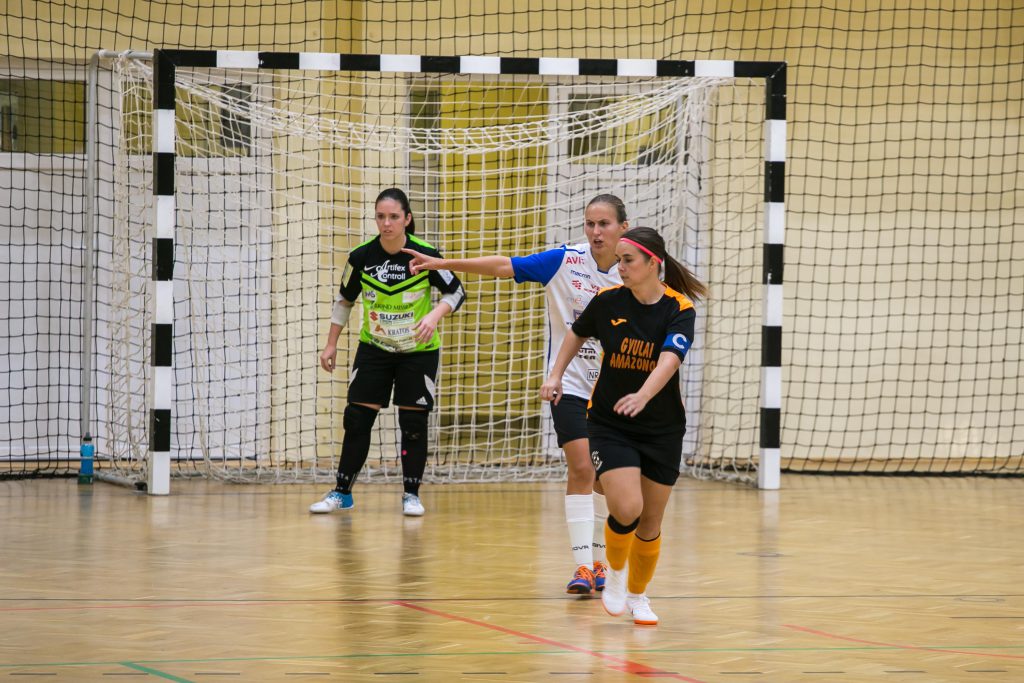 Gyulai Amazonok – WSH Tolna-Mözs