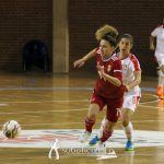 Szerbia – Magyarország 4-5, FOTÓGALÉRIA