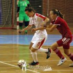Szerbia – Magyarország 4-5, FOTÓGALÉRIA