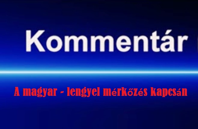 Szakemberek a lengyel-magyarról