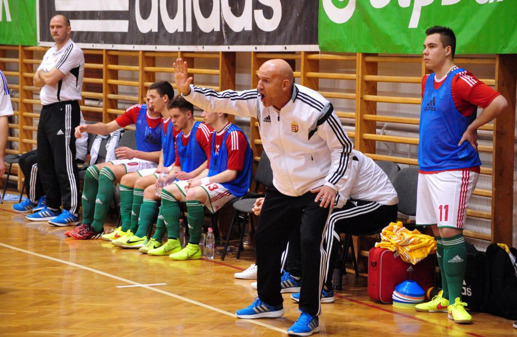 Magyarország – Románia 8-4