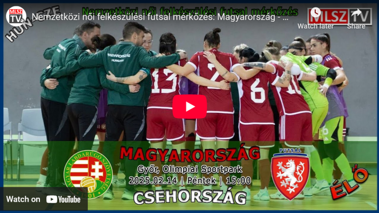 Magyarország – Csehország (2025.02.14, stream)