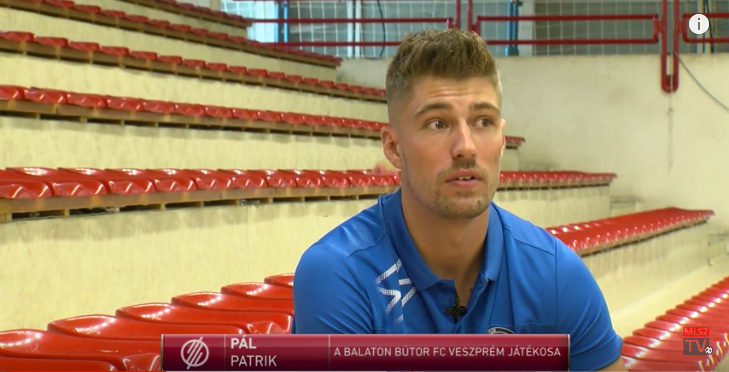 Pál Patrik portré