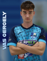 VAS GERGELY