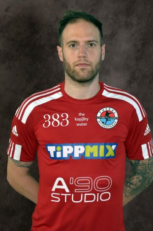 DÁVID RICHÁRD ISTVÁN