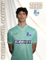 BOKOR GERGŐ