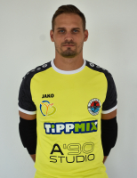 GAGYI SÁNDOR
