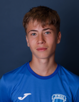 MIKLÓSVÁRI ÁRON JÁNOS