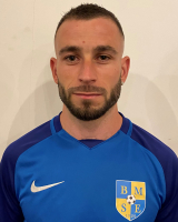 DOLLINGER GYULA