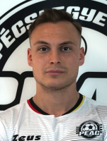 TEMESVÁRI MÁTÉ